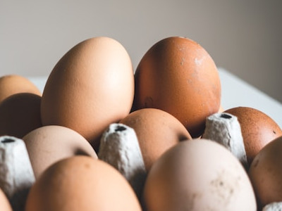  Tray of eggs 