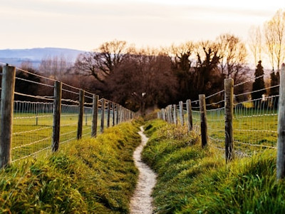  Trail inbetween two fenced fields 